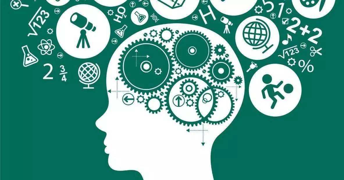 科學家發(fā)現大腦根據觀察進行學習的機制